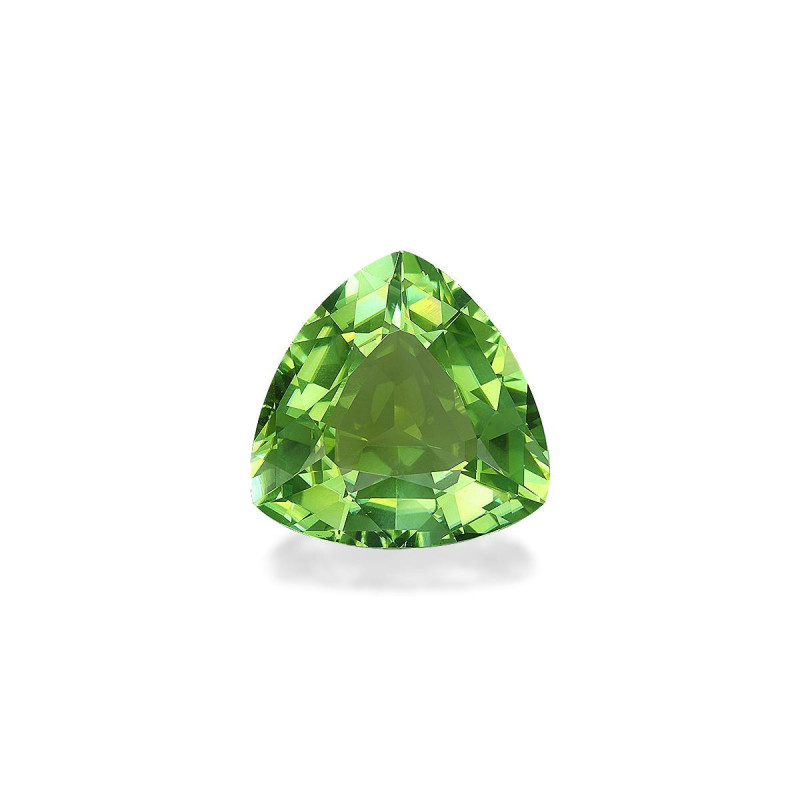 Tourmaline Verte taille Trilliant Lime Green 11.93 carats