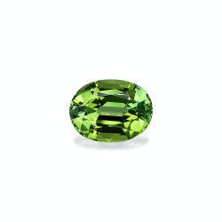 OVAL-cut Green Tourmaline...