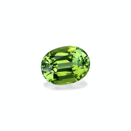 OVAL-cut Green Tourmaline Green 9.31 carats