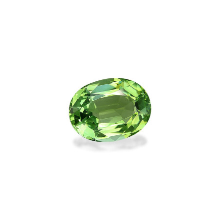Turmalina Verde taille OVALE Verde 7.46 carats