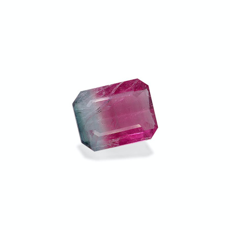 bi colour tourmaline taille RECTANGULARE  9.64 carats