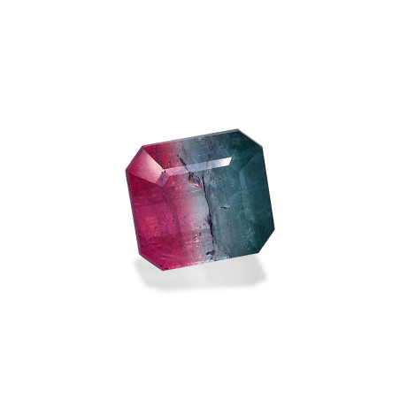 bi colour tourmaline taille RECTANGULARE  10.57 carats