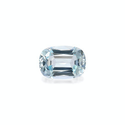 海蓝宝 taille 靠垫 蓝天 9.35 carats