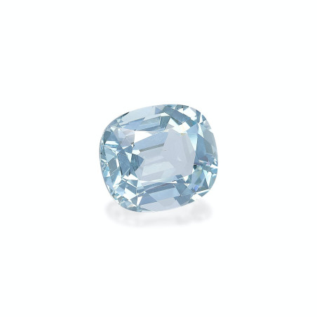 海蓝宝 taille 靠垫 蓝天 13.16 carats