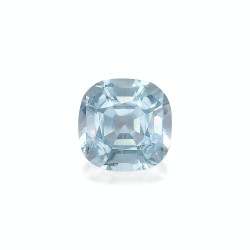海蓝宝 taille 靠垫 绿色 14.86 carats