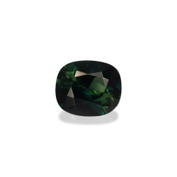 teal sapphire taille 靠垫 蓝色...