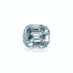 海蓝宝 taille 靠垫 蓝天 5.94 carats