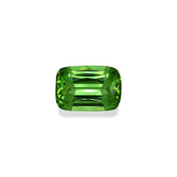 Peridot lengte KISSEN Grün...