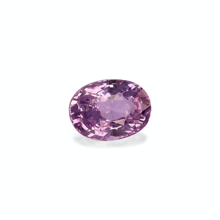Saphir Violet taille OVALE Mauve Purple 3.55 carats