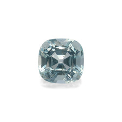 海蓝宝 taille 靠垫 蓝天 3.10 carats