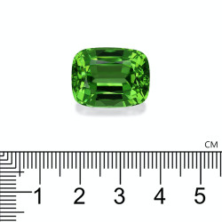 Kussen geslepen Peridot Groen 28.65 karaat