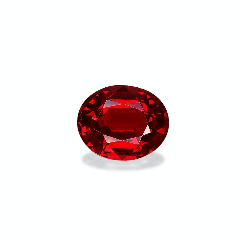 Spinelle rouge taille OVALE Scarlet Red 1.50 carats