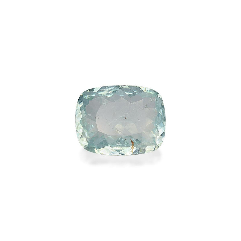 帕拉伊巴电气石 taille 靠垫 淡绿色 2.94 carats