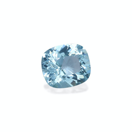 海蓝宝 taille 靠垫 蓝天 7.59 carats