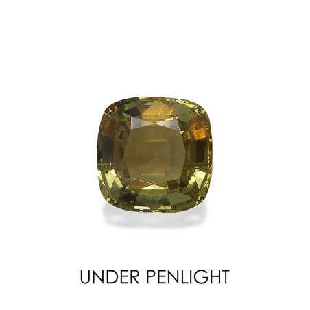 Alexandrite taille COUSSIN Vert Olive 5.74 carats