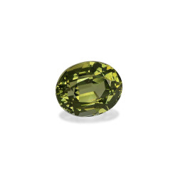 Ovale geslepen Lime Green Toermalijn Koper van 11,06 karaat