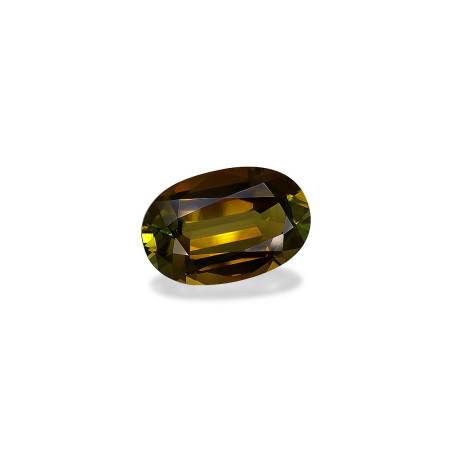 Turmalina Cobre taille OVALE Forest Green 22.74 carats