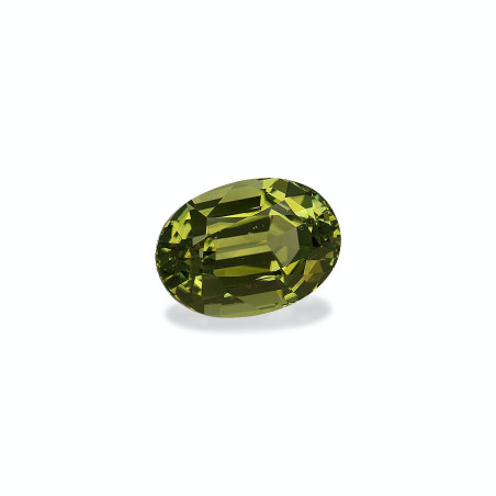 OVAL-cut Cuprian Tourmaline Pistachio Green 10.95 carats