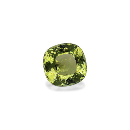 Turmalina Cobre taille COUSSIN Lime Green 23.59 carats