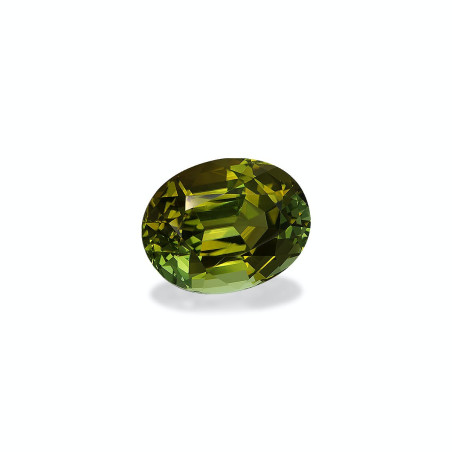 铜电气石 taille 椭圆形 橄榄绿 41.17 carats