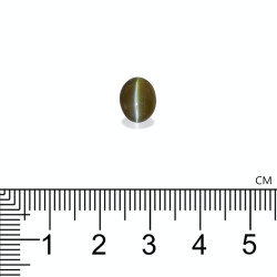 Kattenoog (chrysoberyl) OVALE snit Goudgeel 3,44 karaat
