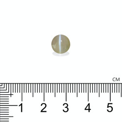 Kattenoog (chrysoberyl) RONDE snit Daffodil Geel 4.34 karaat