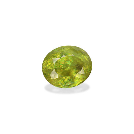 钛鈦矿 taille 椭圆形 青柠绿 12.40 carats