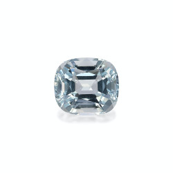 海蓝宝 taille 靠垫 蓝天 20.59 carats