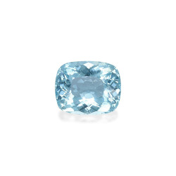 海蓝宝 taille 靠垫 北极蓝 28.52 carats
