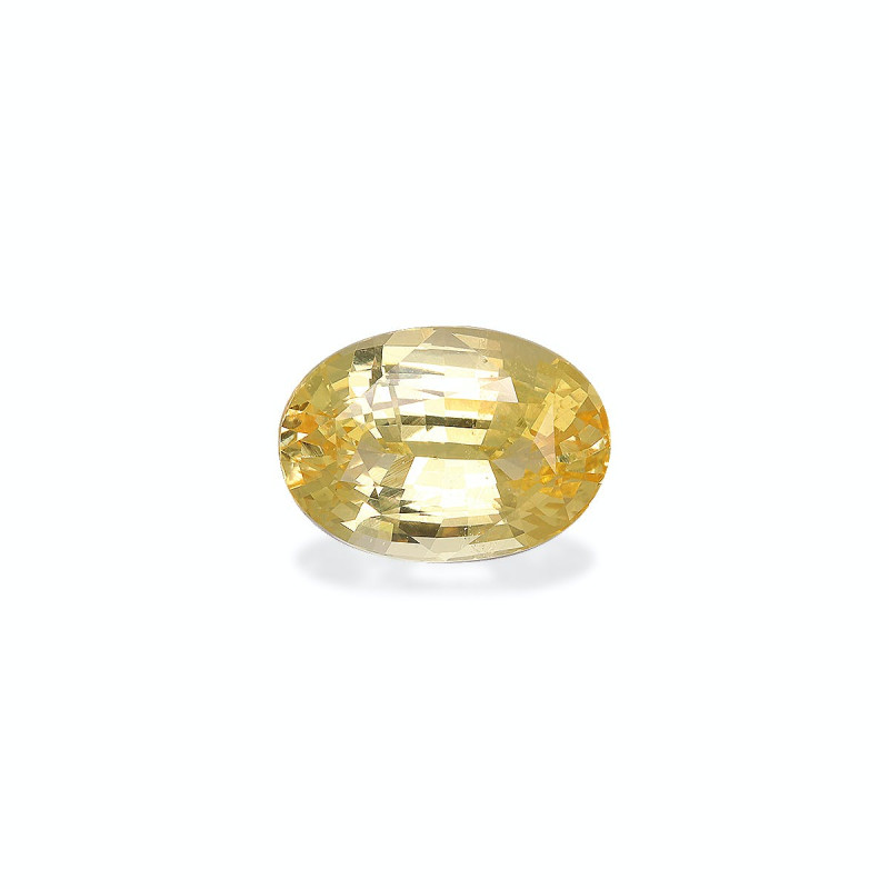 Saphir Jaune taille OVALE Yellow 3.54 carats