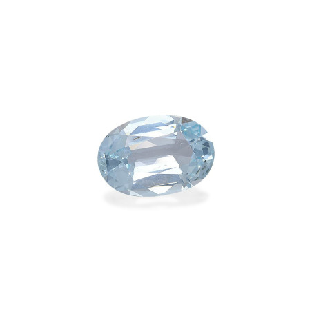 海蓝宝 taille 椭圆形 蔚蓝色的婴儿 12.48 carats