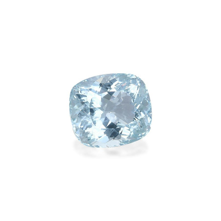 海蓝宝 taille 靠垫 蓝天 20.58 carats