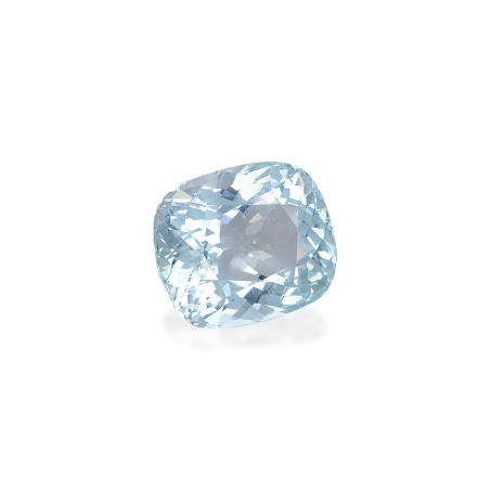 海蓝宝 taille 靠垫 蓝天 26.86 carats