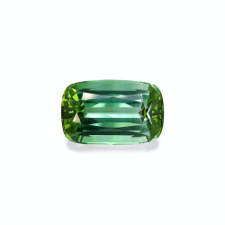 Tourmaline Verte taille...