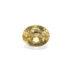 Gelber Saphir lengte OVAL...