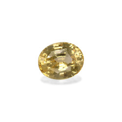 Ovale Gele Saffier Daffodil Yellow 6.02 karaat