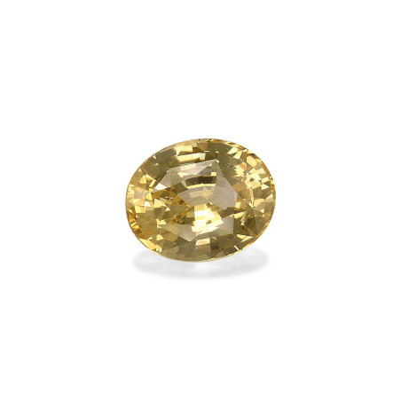 Zafiro Amarillo taille OVALE Daffodil Yellow 6.02 carats