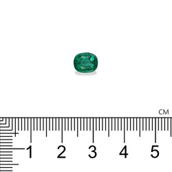Smaragd aus Sambia lengte OVAL Gr&uuml;n 1.67 karaten