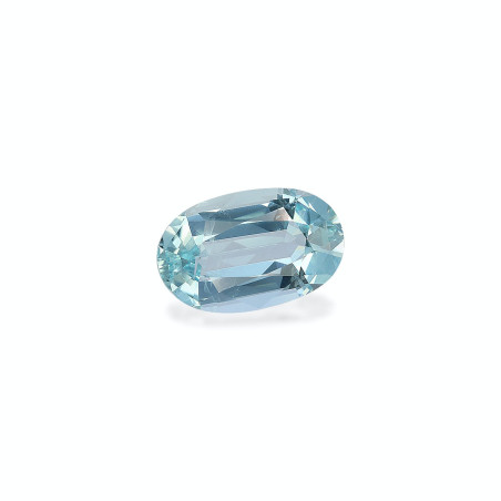 海蓝宝 taille 椭圆形 蔚蓝色的婴儿 6.98 carats