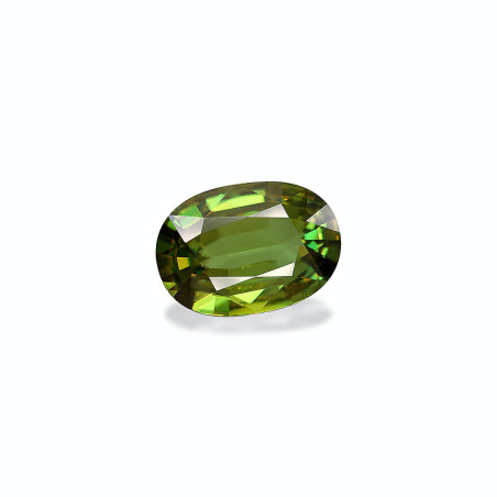 钛鈦矿 taille 椭圆形 绿色 12.33 carats
