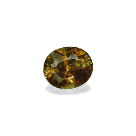Sphen lengte OVAL  6.70 karaten