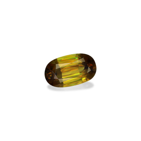 钛鈦矿 taille 椭圆形  5.05 carats