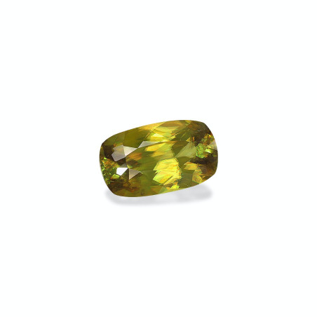 Esfena taille COUSSIN Lime Green 6.42 carats