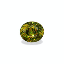 钛鈦矿 taille 椭圆形 青柠绿 9.70 carats