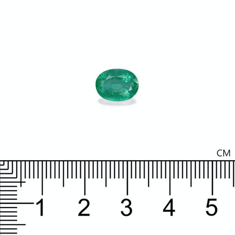 Smaragd aus Sambia lengte OVAL Grün 2.63 karaten
