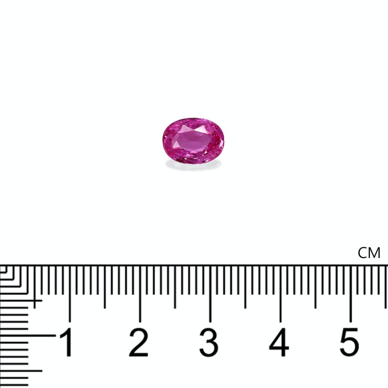 Pendentif Saphir Rose Sur Plaque Or Blanc 18K - 40x2 Mm - Neuf Avec étiquettes - Pour Femme