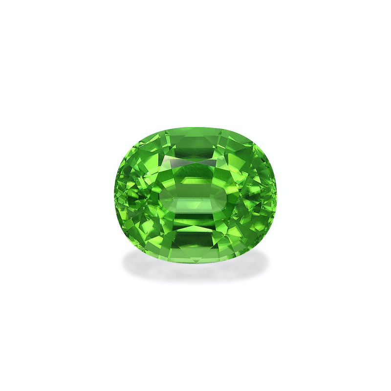 Peridot lengte OVAL Limettengr&uuml;n 40.94 karaten