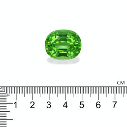 Peridot lengte OVAL Limettengr&uuml;n 40.94 karaten