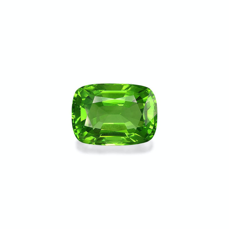 Péridot taille COUSSIN 绿色 24.58 carats