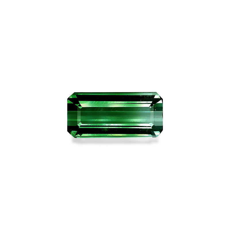 bi colour tourmaline taille RECTANGULARE  33.12 carats